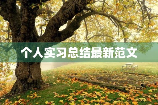 个人实习总结最新范文