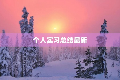 个人实习总结最新