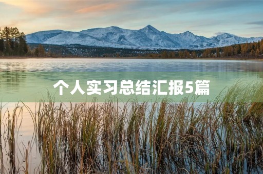 个人实习总结汇报5篇