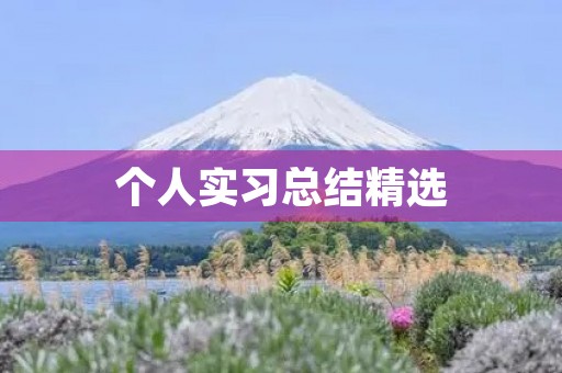 个人实习总结精选 个人实习总结精选