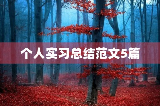 个人实习总结范文5篇