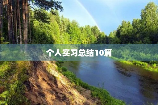 个人实习总结10篇