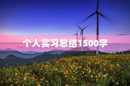 个人实习总结1500字