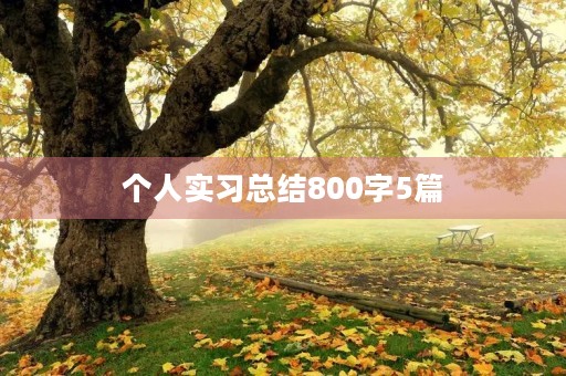 个人实习总结800字5篇