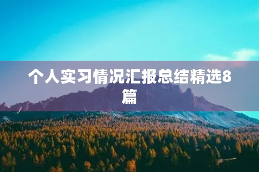 个人实习情况汇报总结精选8篇