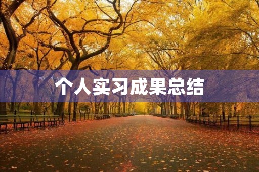 个人实习成果总结(精选10篇)