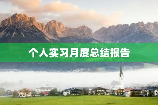 个人实习月度总结报告 个人实习月度总结报告