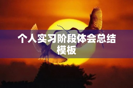 个人实习阶段体会总结模板 个人实习阶段体会总结模板