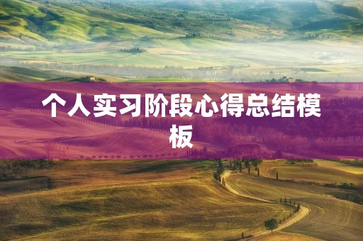 个人实习阶段心得总结模板