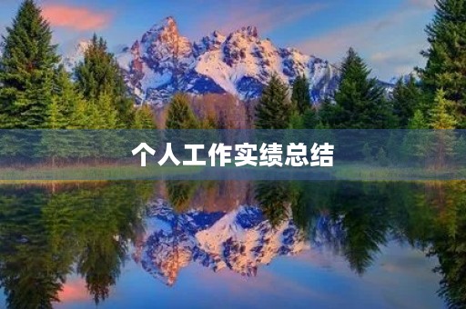 个人工作实绩总结 个人工作实绩总结