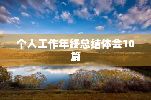 个人工作年终总结体会10篇