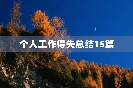 个人工作得失总结15篇