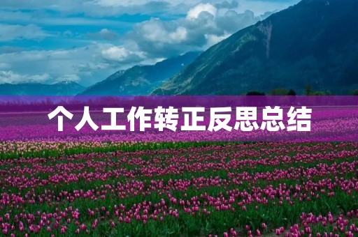 个人工作转正反思总结（7篇）