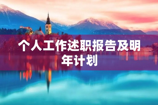 个人工作述职报告及明年计划