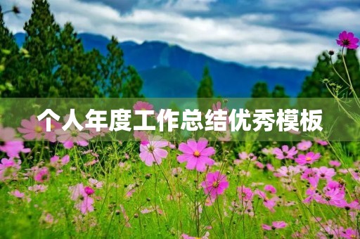 个人年度工作总结优秀模板