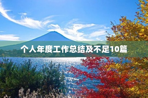 个人年度工作总结及不足10篇