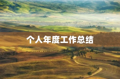 个人年度工作总结（个人通用）