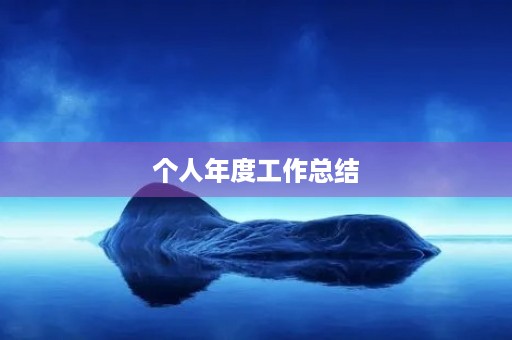 个人年度工作总结