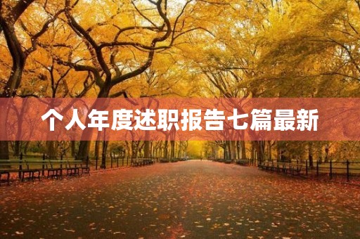 个人年度述职报告七篇最新