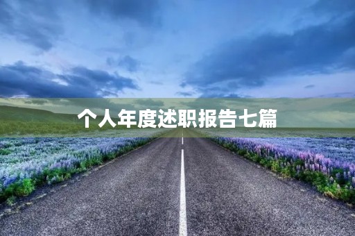 个人年度述职报告七篇