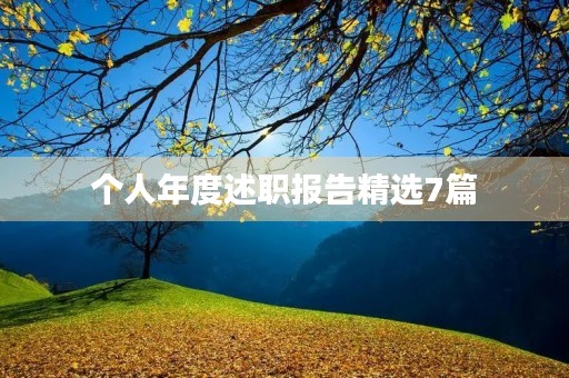 个人年度述职报告精选7篇
