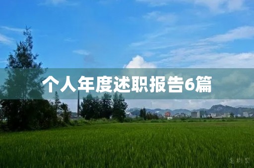 个人年度述职报告6篇