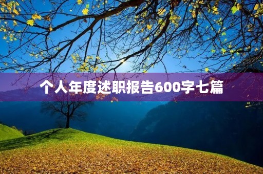 个人年度述职报告600字七篇