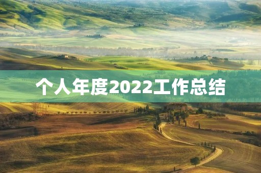 个人年度2022工作总结(7篇)