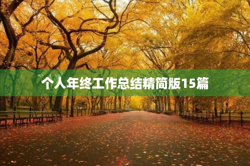 个人年终工作总结精简版15篇 个人年终工作总结精简版15篇