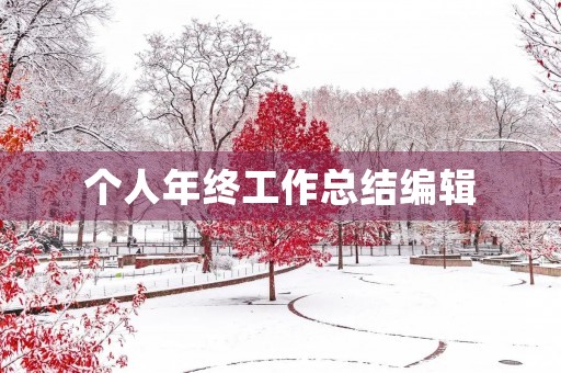 个人年终工作总结编辑