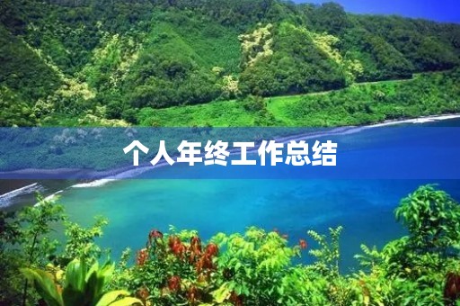 个人年终工作总结（8篇实用）