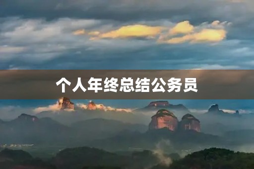 个人年终总结公务员