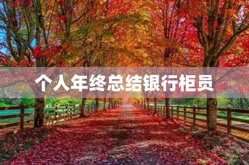 个人年终总结银行柜员 个人年终总结银行柜员