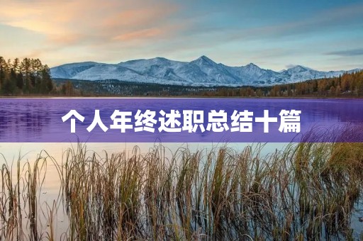 个人年终述职总结十篇
