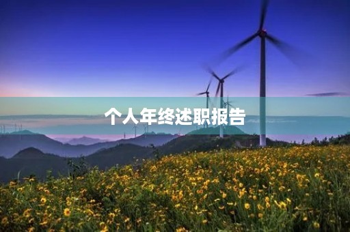 个人年终述职报告(七篇)