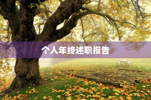 个人年终述职报告(精选七篇) 个人年终述职报告(精选七篇)