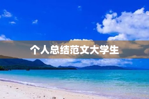 个人总结范文大学生