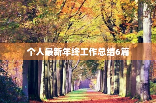 个人最新年终工作总结6篇