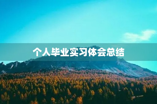 个人毕业实习体会总结 个人毕业实习体会总结