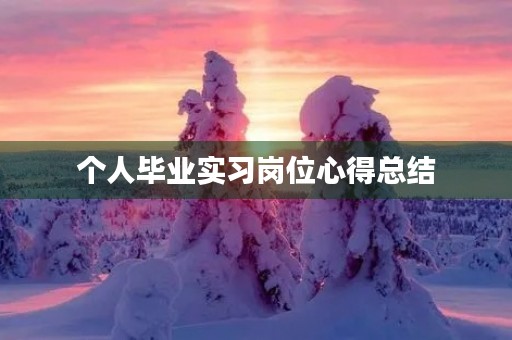 个人毕业实习岗位心得总结