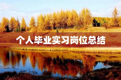 个人毕业实习岗位总结 个人毕业实习岗位总结