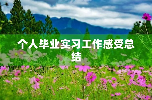 个人毕业实习工作感受总结