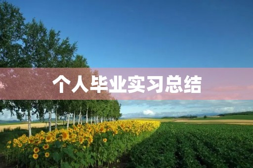 个人毕业实习总结（5篇）
