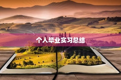 个人毕业实习总结 个人毕业实习总结