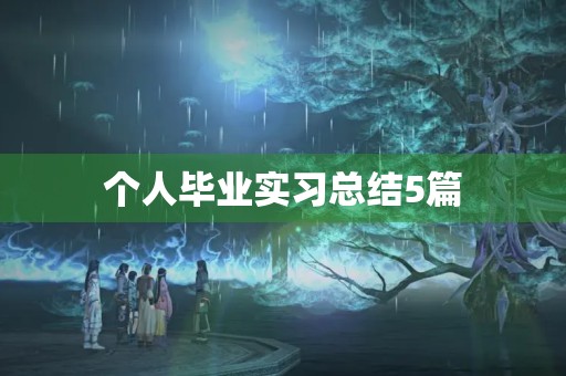 个人毕业实习总结5篇