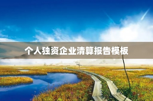 个人独资企业清算报告模板 个人独资企业清算报告模板