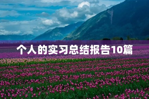 个人的实习总结报告10篇 个人的实习总结报告10篇