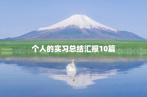 个人的实习总结汇报10篇