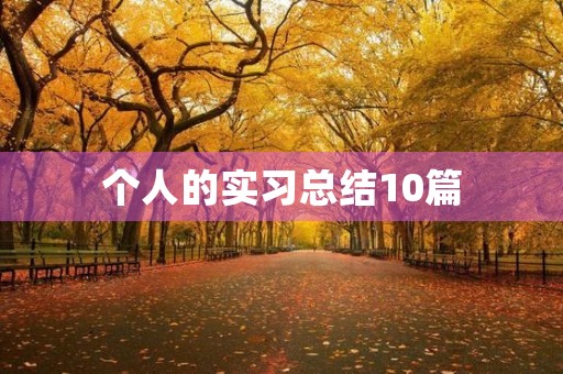 个人的实习总结10篇