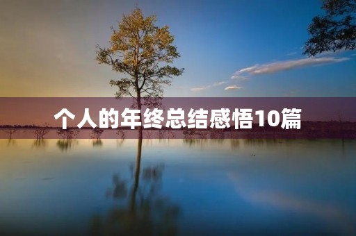 个人的年终总结感悟10篇 个人的年终总结感悟10篇